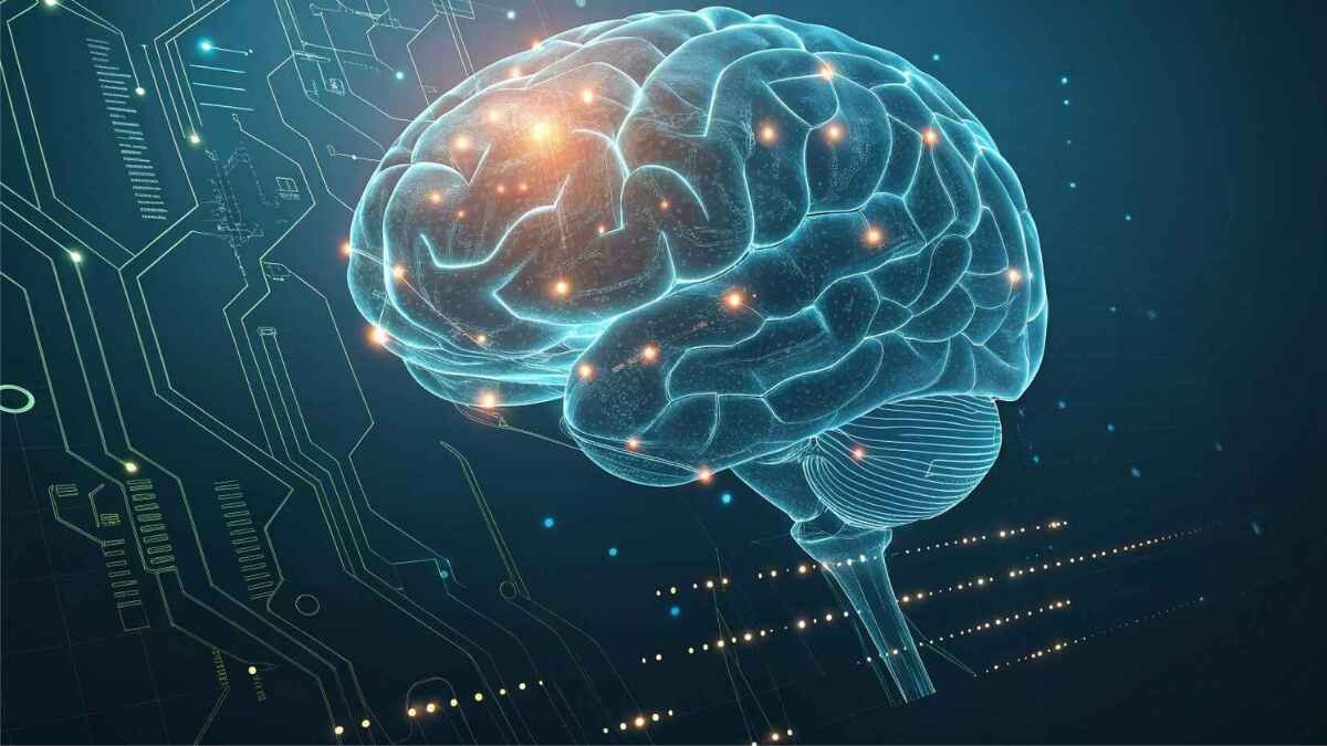 Human and AI brain fused together with glowing circuits